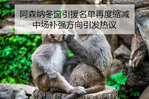 阿森纳冬窗引援名单再度缩减 中场补强方向引发热议（j9）